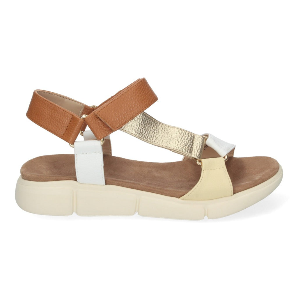 AD-3269-Gold