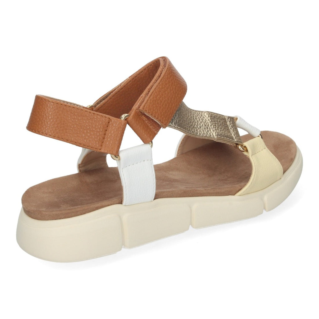 AD-3269-Gold