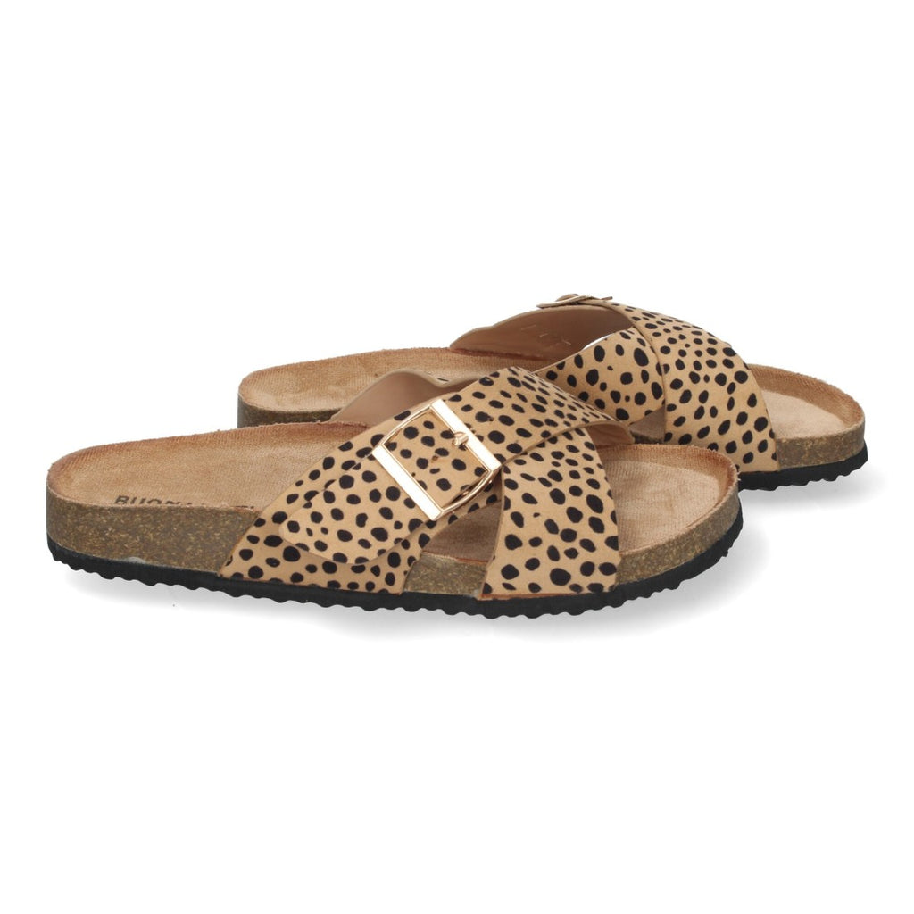 AY-2239-Leopard