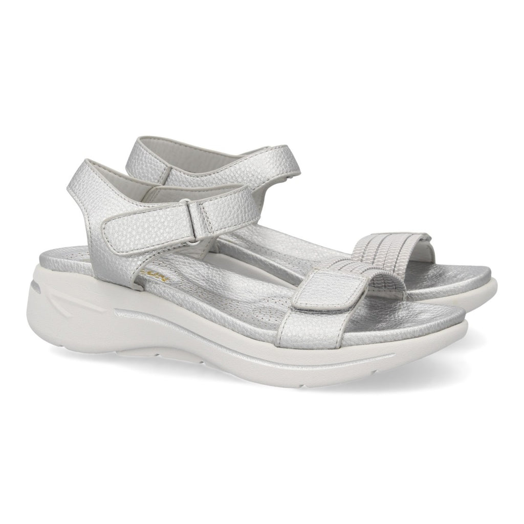 HLS-0691-Plata