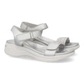 HLS-0691-Plata