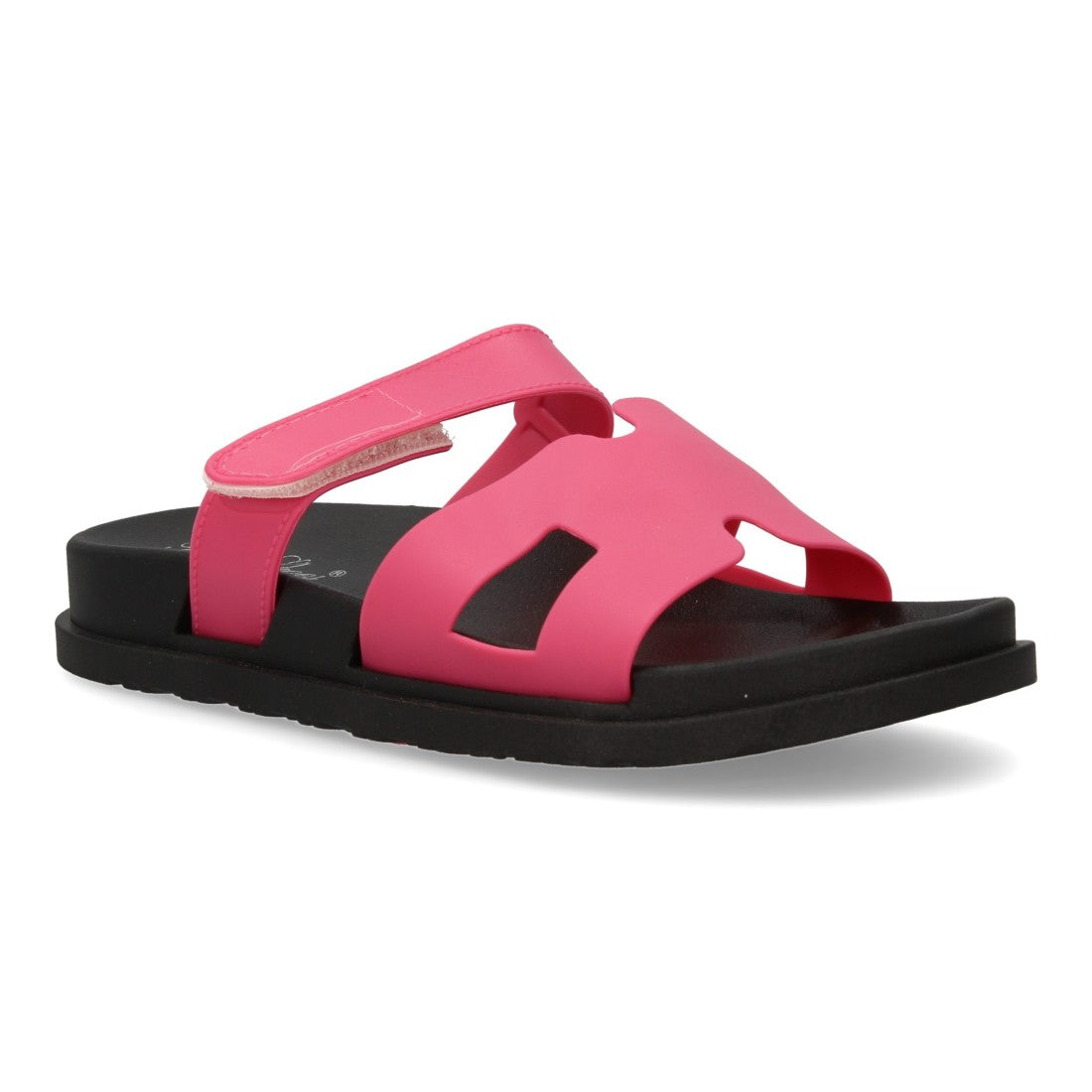 2Q43-Fuchsia