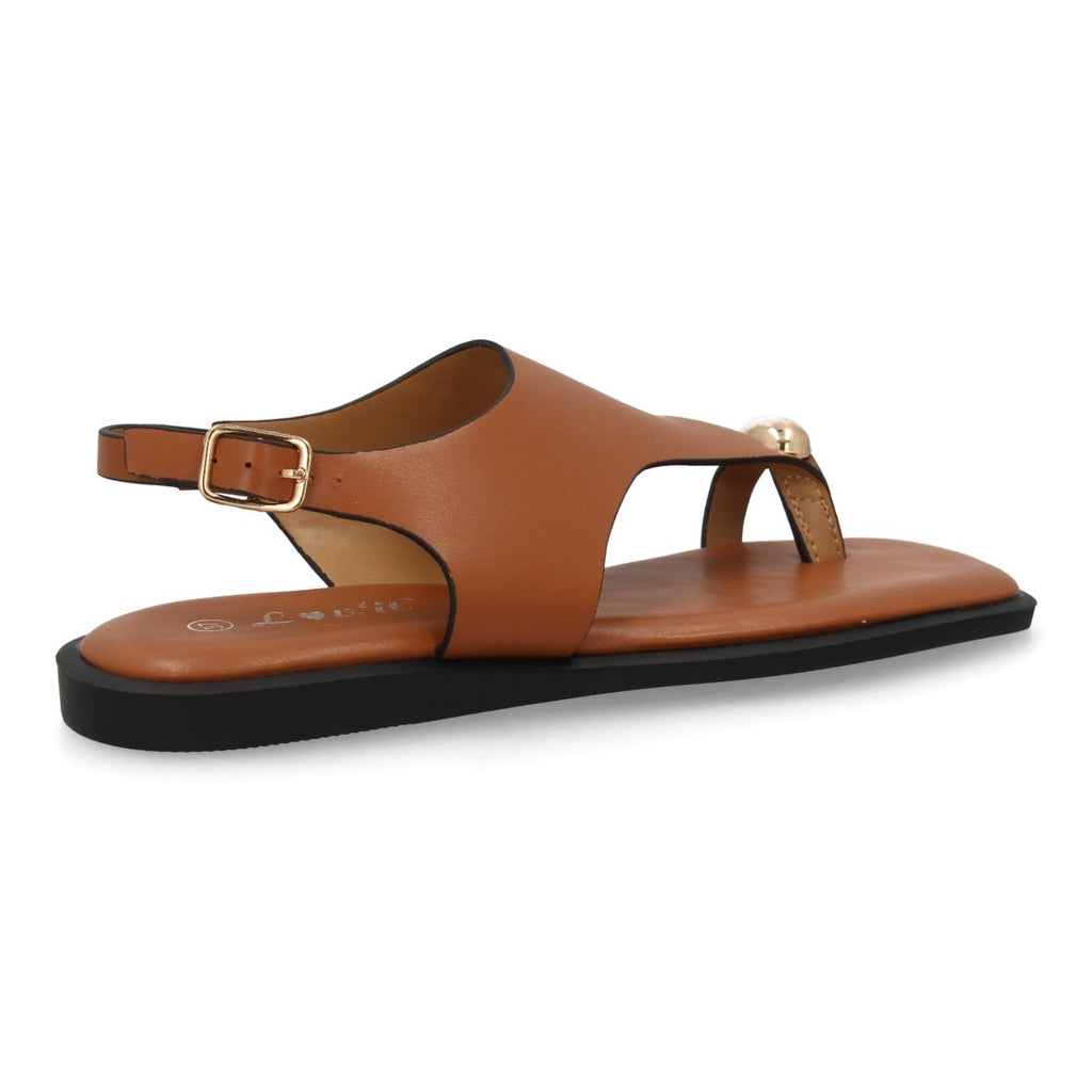 DD272-Camel