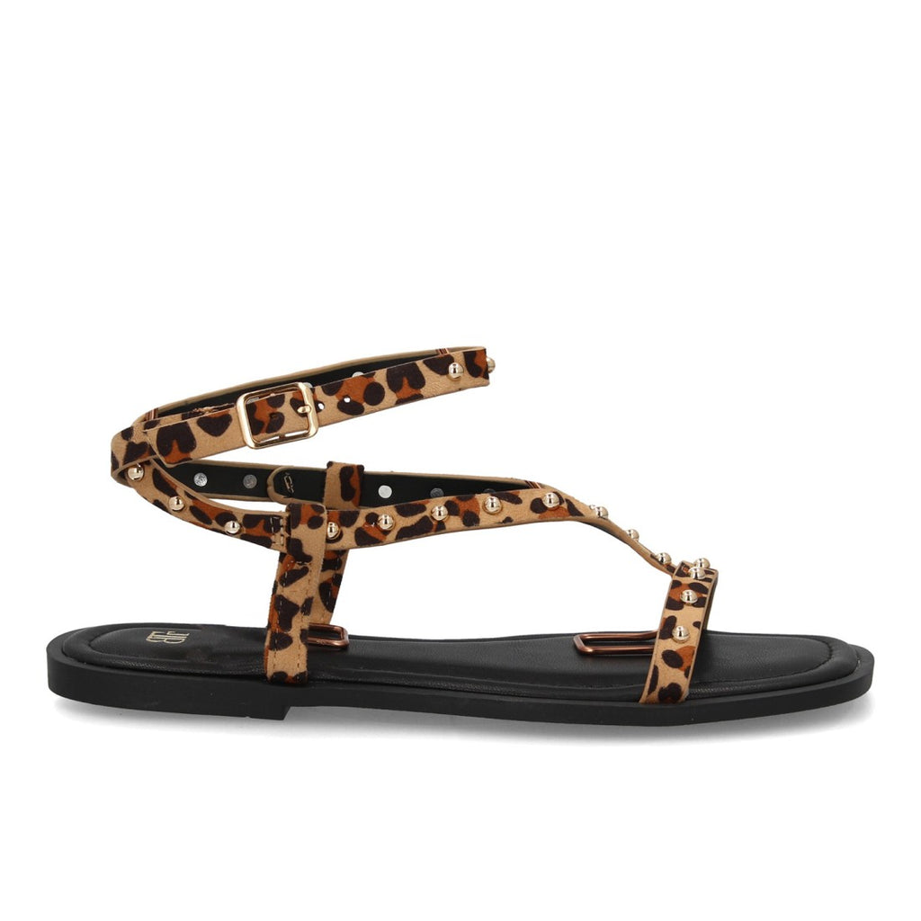 HG-5806-Leopardo