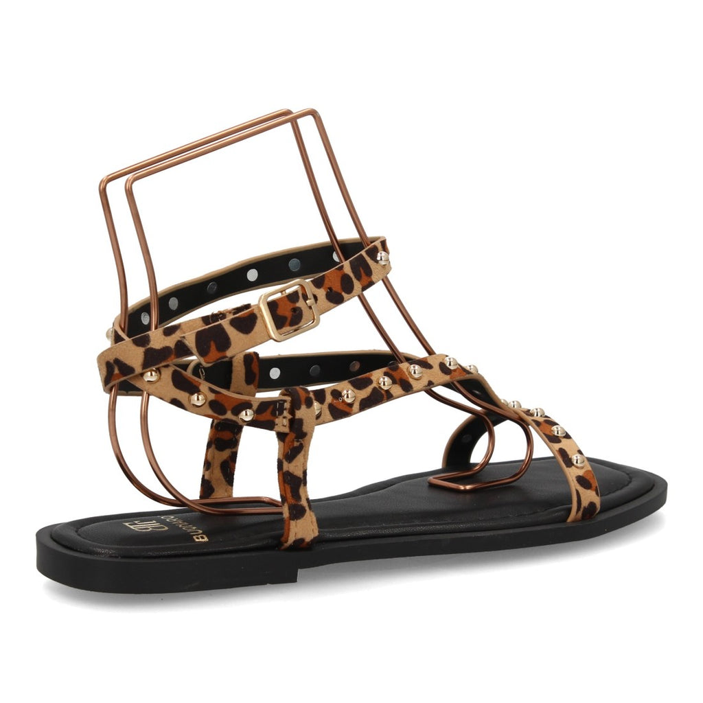 HG-5806-Leopardo