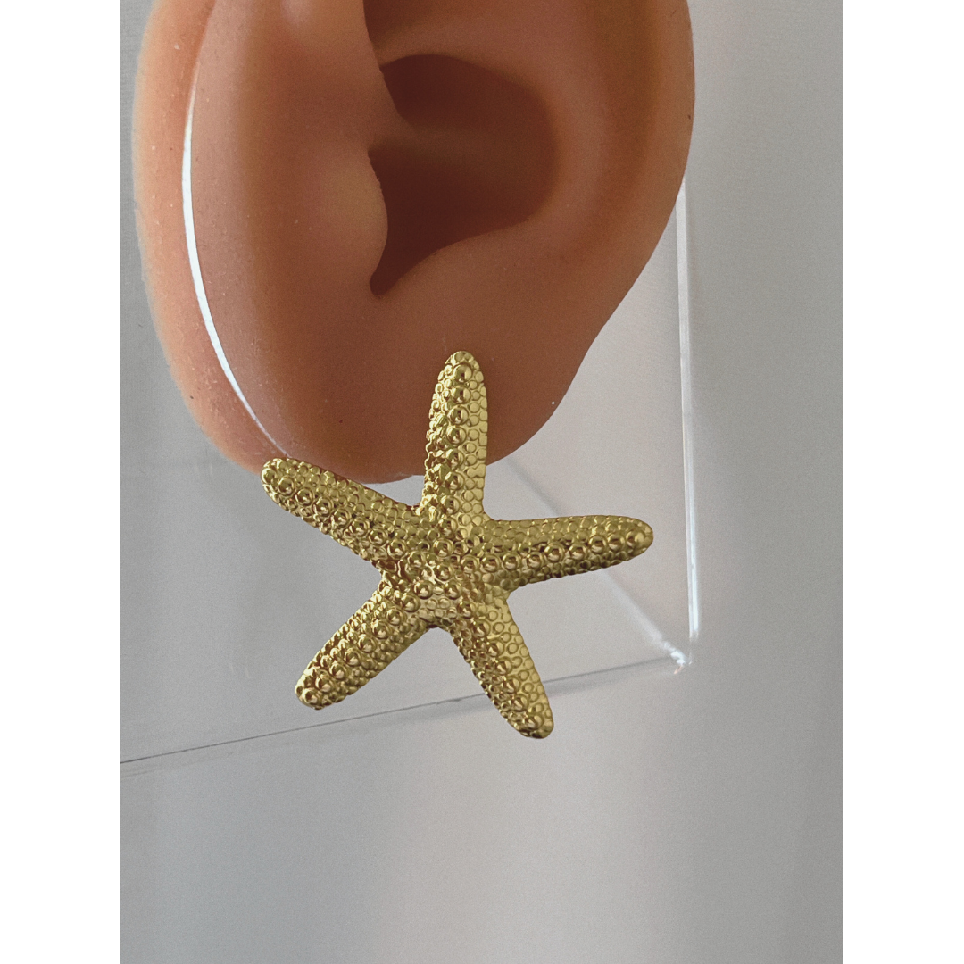Pendientes Starfish