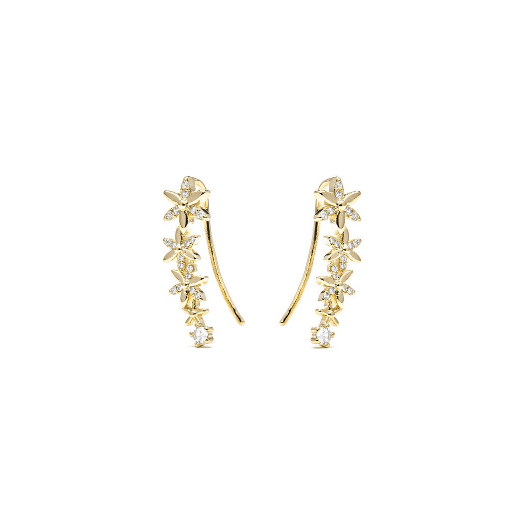 Pendientes acabado oro amarillo de 18k y Circonita Brillante - Anah